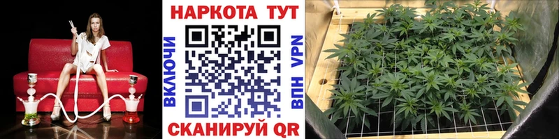 Магазин наркотиков Среднеколымск Alpha-PVP  АМФ  Cocaine  Меф  Псилоцибиновые грибы  Бошки Шишки  Гашиш 