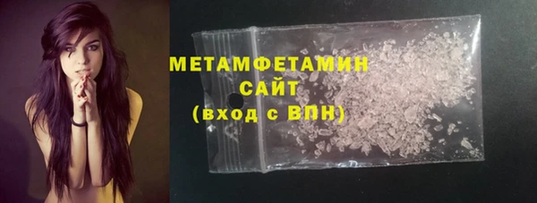 прущие грибы Коряжма
