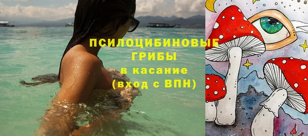 Альфа ПВП Абаза