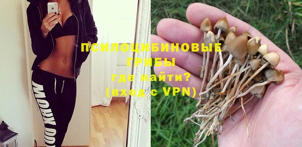 СК Алексеевка