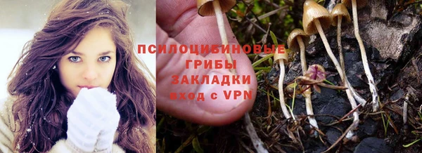 бошки Алзамай